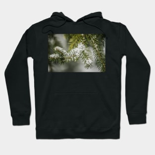 Christmas Pine 3 Hoodie